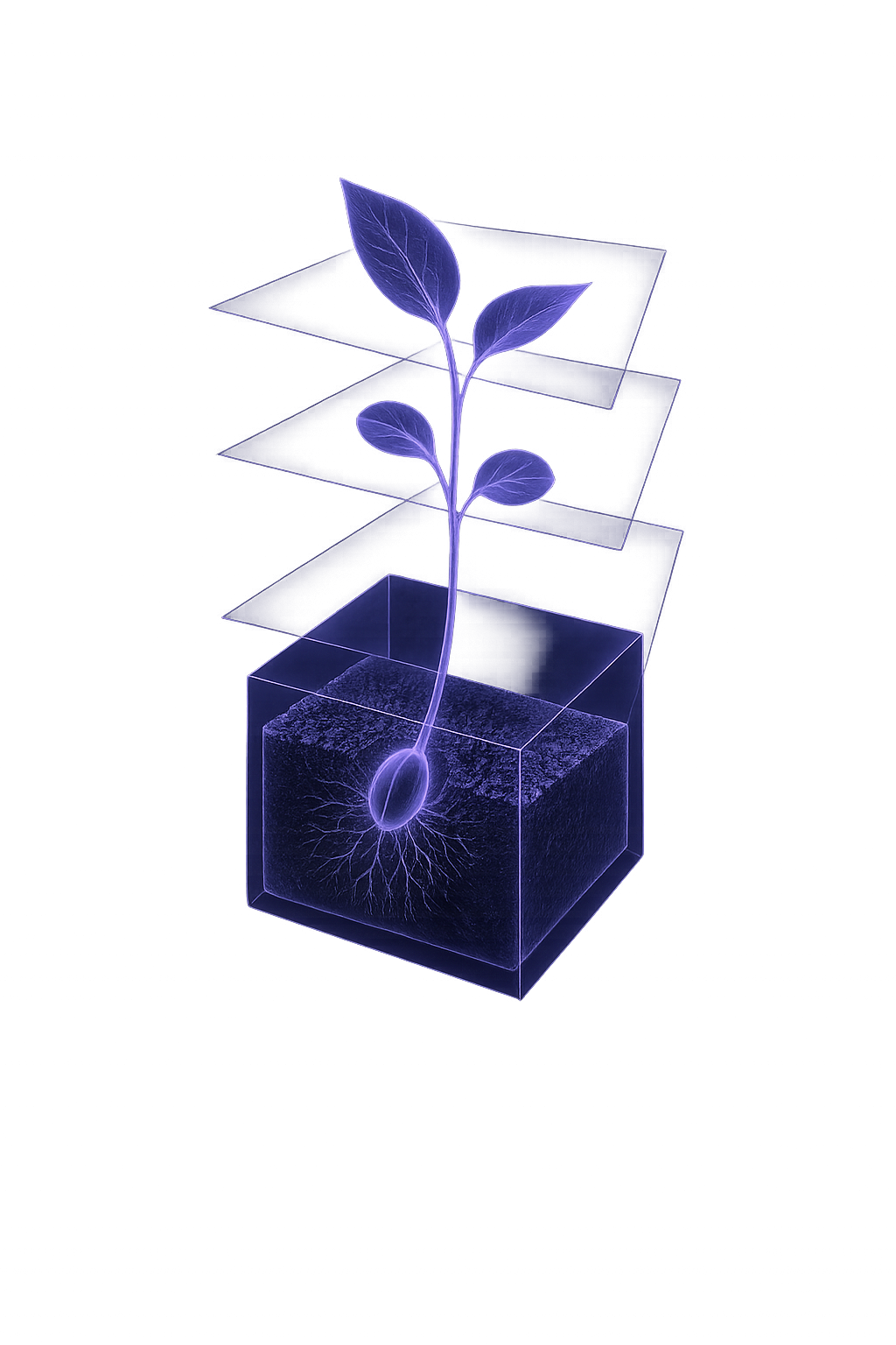 Seed growing through layers